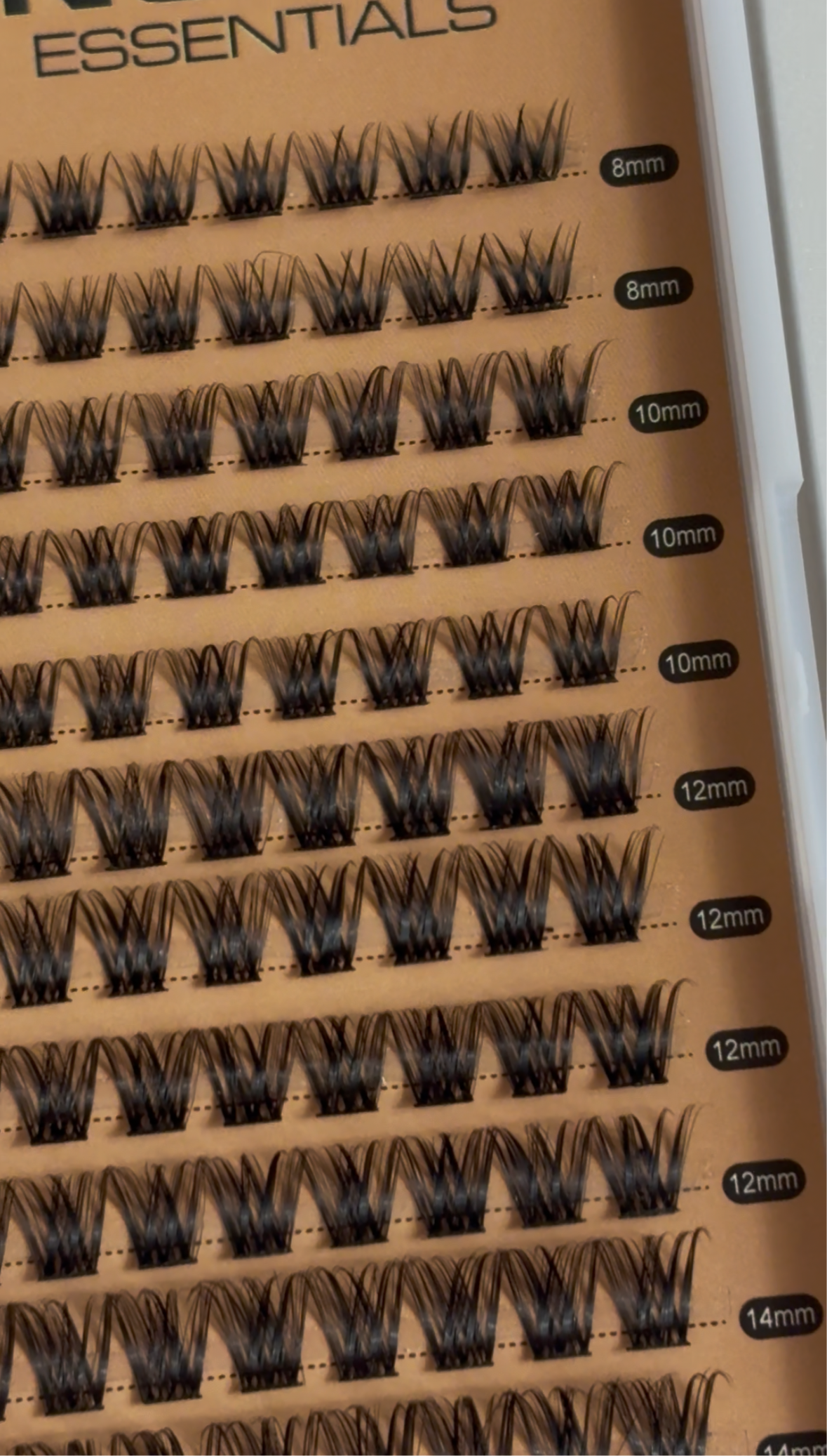 RILEY LASH KIT